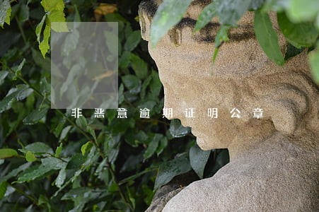 非恶意逾期证明公章 非恶意逾期证明公章