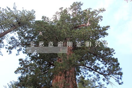 非恶意逾期证明兴业 非恶意逾期证明兴业