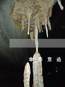 非恶意逾期证明分辨真假 非恶意逾期证明分辨真假