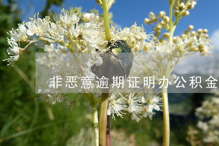 非恶意逾期证明办公积金 非恶意逾期证明办公积金