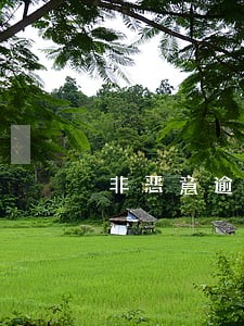 非恶意逾期证明原因写什么 非恶意逾期证明原因写什么