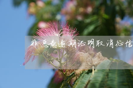 非恶意逾期证明取消征信 非恶意逾期证明取消征信