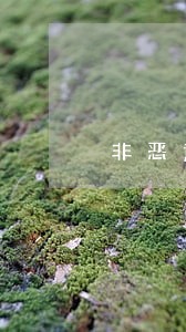 非恶意逾期证明可以作假吗
