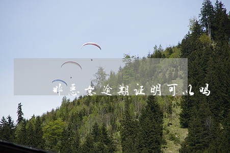 非恶意逾期证明可以吗 非恶意逾期证明可以吗