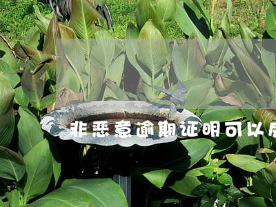 非恶意逾期证明可以房贷 非恶意逾期证明可以房贷