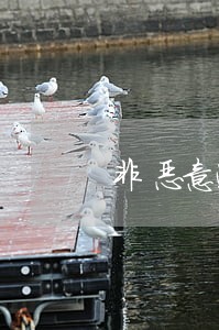 非恶意逾期证明可以贷款 非恶意逾期证明可以贷款