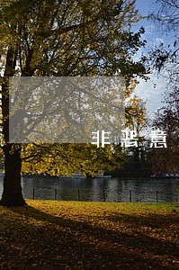 非恶意逾期证明可跨省开吗 非恶意逾期证明可跨省开吗