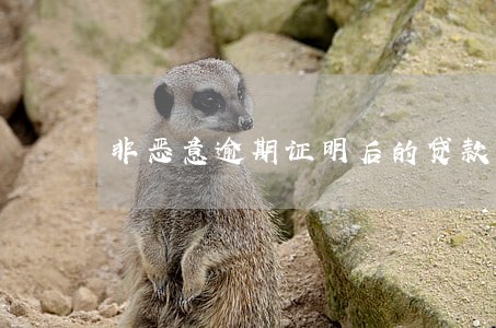 非恶意逾期证明后的贷款 非恶意逾期证明后的贷款