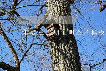 非恶意逾期证明图片模板 非恶意逾期证明图片模板