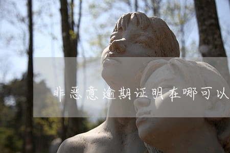 非恶意逾期证明在哪可以弄 非恶意逾期证明在哪可以弄