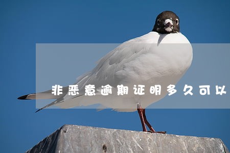 非恶意逾期证明多久可以房贷 非恶意逾期证明多久可以房贷