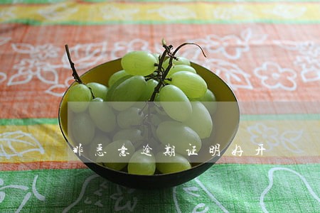 非恶意逾期证明好开