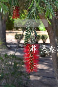 非恶意逾期证明如何办理 非恶意逾期证明如何办理