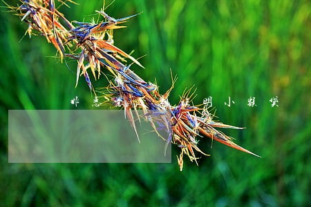 非恶意逾期证明小额贷 非恶意逾期证明小额贷