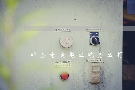 非恶意逾期证明怎么打
