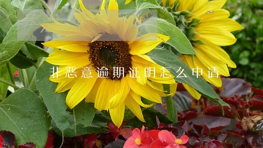 非恶意逾期证明怎么申请 非恶意逾期证明怎么申请