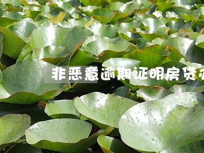 非恶意逾期证明房贷办 非恶意逾期证明房贷办