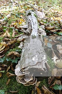 非恶意逾期证明效果 非恶意逾期证明效果