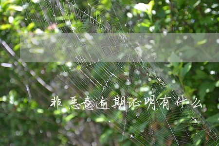 非恶意逾期证明有什么 非恶意逾期证明有什么