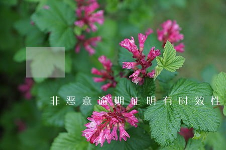 非恶意逾期证明有时效性吗 非恶意逾期证明有时效性吗