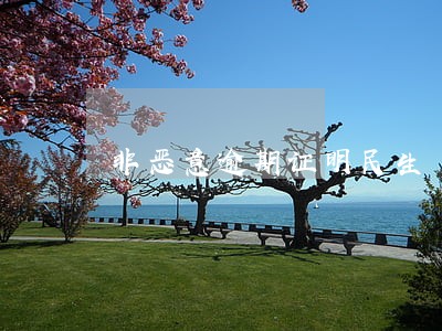 非恶意逾期证明民生 非恶意逾期证明民生