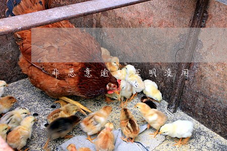 非恶意逾期证明没用 非恶意逾期证明没用