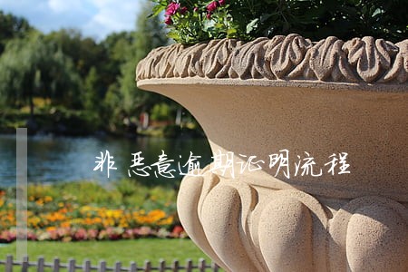 非恶意逾期证明流程 非恶意逾期证明流程
