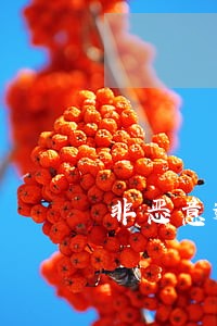 非恶意逾期证明消除不良记录 非恶意逾期证明消除不良记录