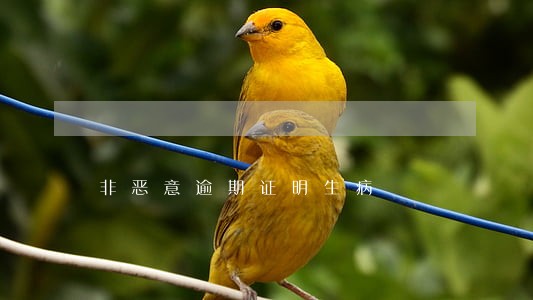 非恶意逾期证明生病 非恶意逾期证明生病