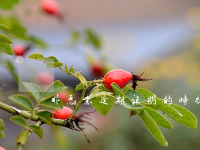 非恶意逾期证明的时效 非恶意逾期证明的时效