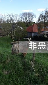 非恶意逾期证明的格式 非恶意逾期证明的格式