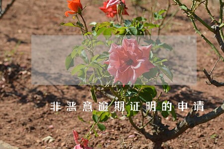 非恶意逾期证明的申请 非恶意逾期证明的申请