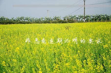 非恶意逾期证明的要求 非恶意逾期证明的要求