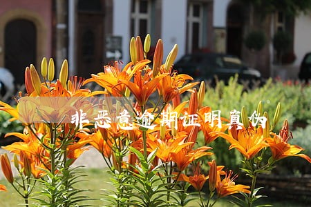 非恶意逾期证明真伪 非恶意逾期证明真伪