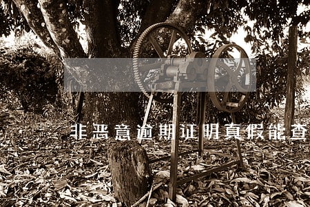 非恶意逾期证明真假能查到么 非恶意逾期证明真假能查到么