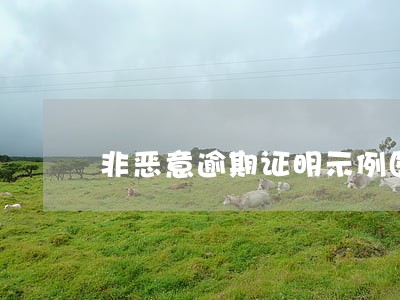 非恶意逾期证明示例图 非恶意逾期证明示例图