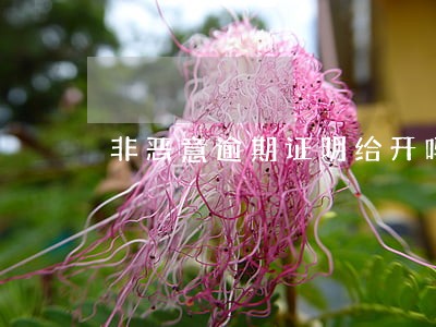 非恶意逾期证明给开吗