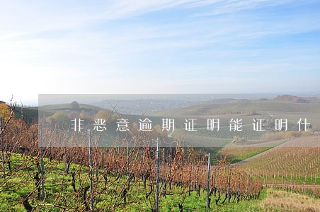 非恶意逾期证明能证明什么 非恶意逾期证明能证明什么