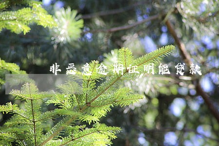 非恶意逾期证明能贷款 非恶意逾期证明能贷款
