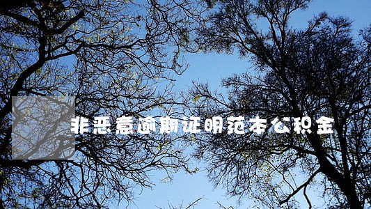 非恶意逾期证明范本公积金 非恶意逾期证明范本公积金