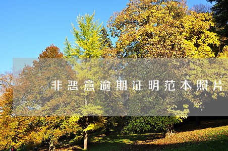 非恶意逾期证明范本照片 非恶意逾期证明范本照片