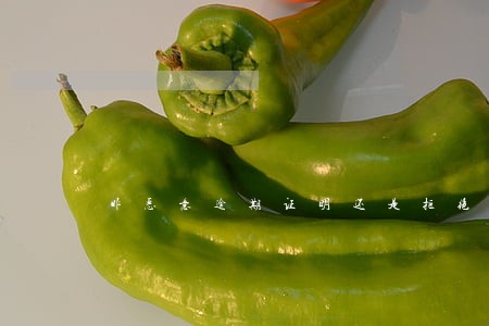 非恶意逾期证明还是拒绝贷款