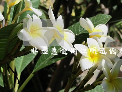 非恶意逾期证明造假常见吗 非恶意逾期证明造假常见吗