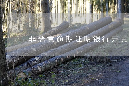 非恶意逾期证明银行开具