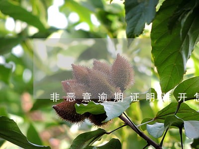 非恶意逾期证明难开怎么办 非恶意逾期证明难开怎么办