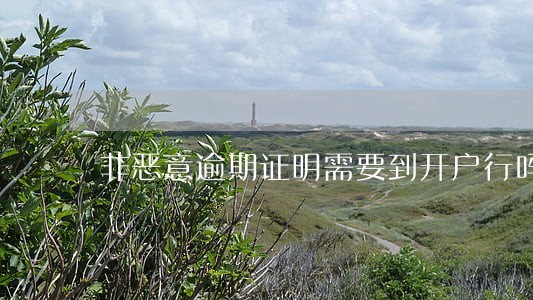 非恶意逾期证明需要到开户行吗 非恶意逾期证明需要到开户行吗