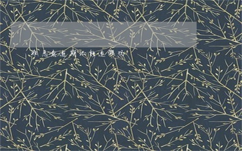 非恶意逾期证能造假吗 非恶意逾期证能造假吗