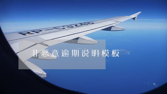 非恶意逾期说明模板