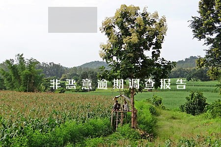 非恶意逾期调查报告 非恶意逾期调查报告