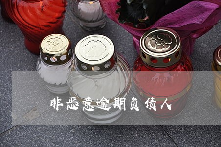 非恶意逾期负债人 非恶意逾期负债人
